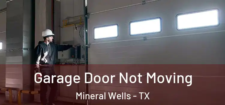  Garage Door Not Moving Mineral Wells - TX