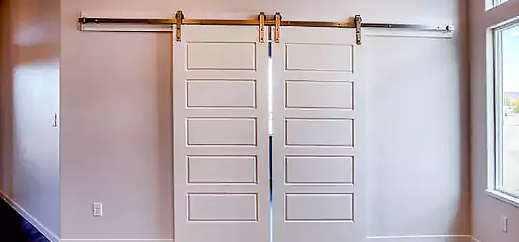Glass Barn Door with Installation Hardware Kit Mineral Wells